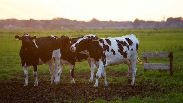 Farming industry