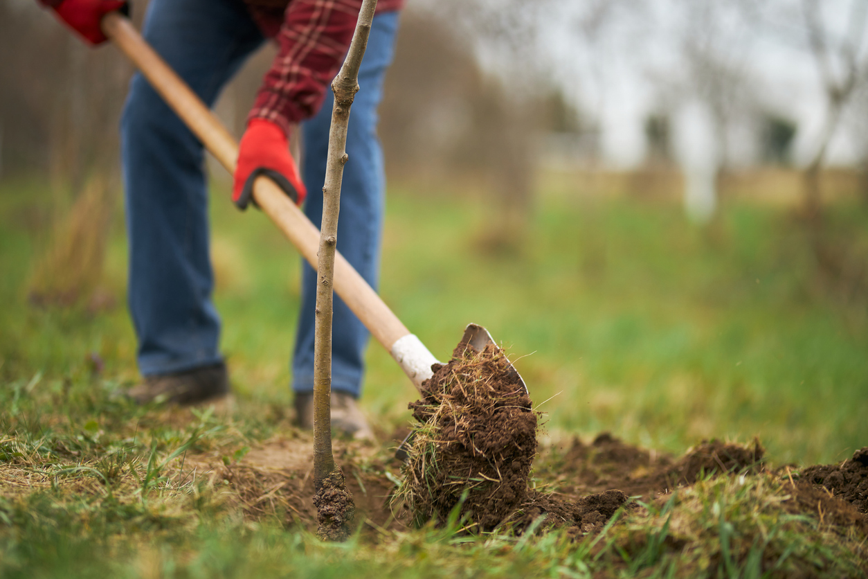 New funding secured for rewilding Charity, Somerset