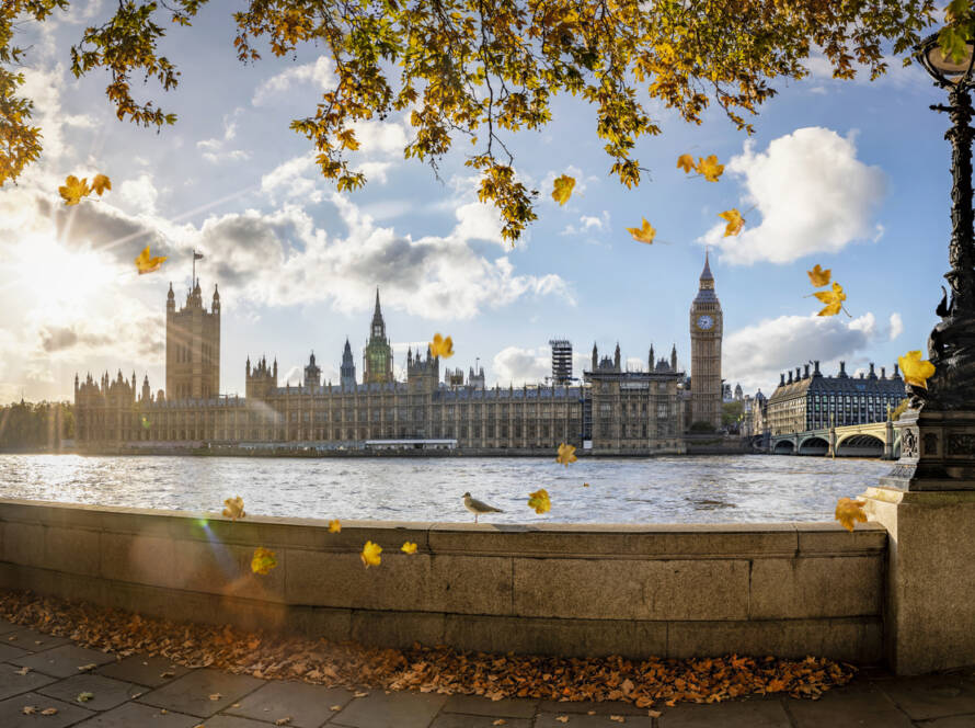 economic overview October 2025