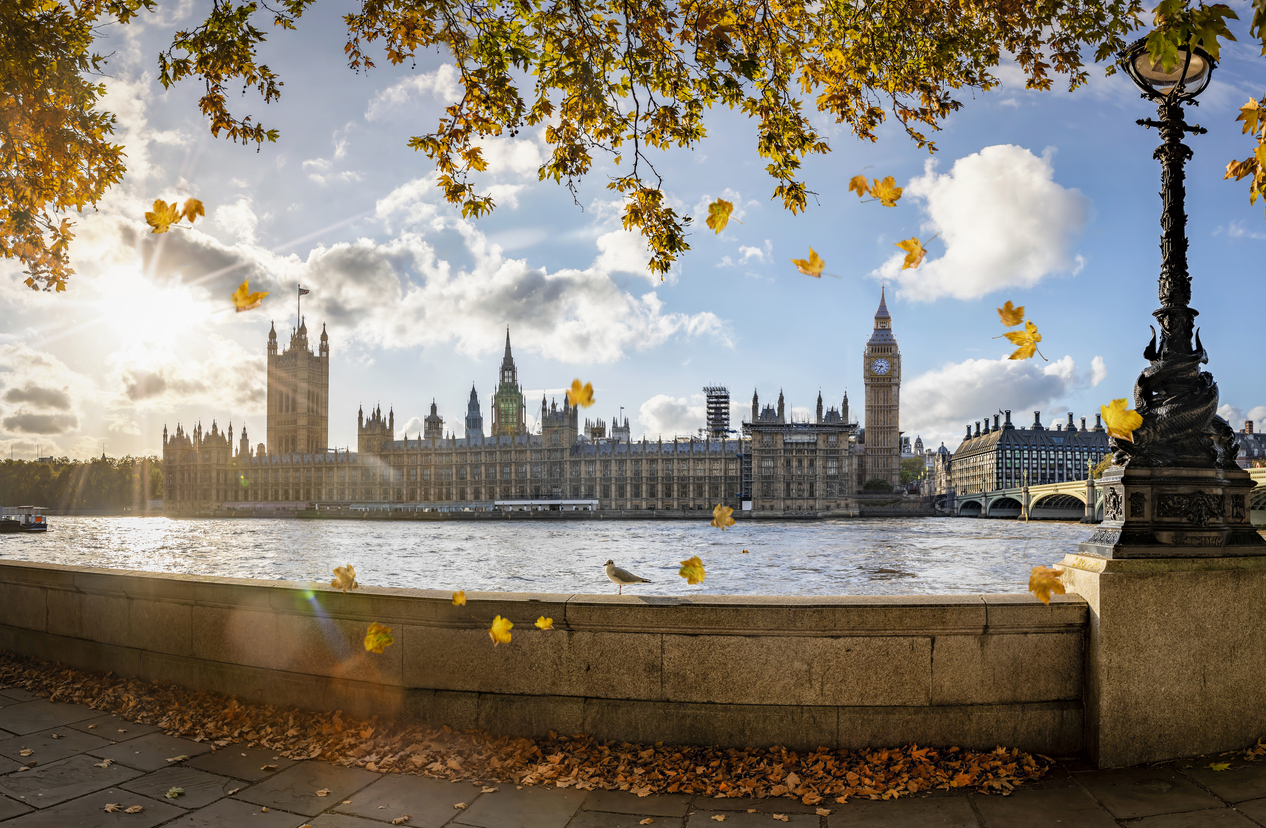economic overview October 2025