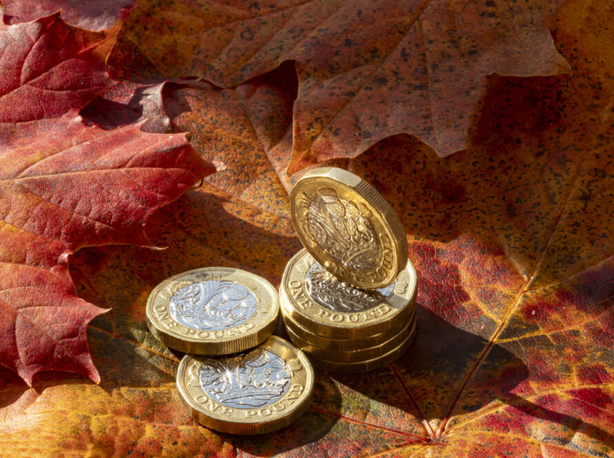 Economic overview November 2025